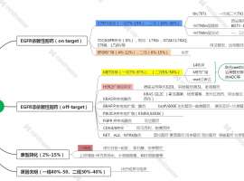 肺癌5、8、10年的路线展望---奥西伏美阿美耐药的应对方法再总结